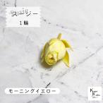 大地農園！プリザーブドフラワー 「スージー モーニングイエロー 1輪」プリザ 花材 ハーバリウム おしゃれ かわいい プレゼント 贈り物　オオチノウエン