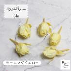 大地農園！プリザーブドフラワー 「スージー モーニングイエロー 5輪」プリザ 花材 ハーバリウム おしゃれ かわいい プレゼント 贈り物　オオチノウエン