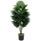 ビロウ フェイクグリーン インテリア リアル 人工観葉植物 ワジュロ 人工植…