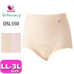 ワコール wacoal らくラクパートナー DSL550 軽失禁対応吸収ショーツ 尿消臭 コンフォートサイズ LL 3Lサイズ GA 介護 プレゼント ラッピング メール便発送可
