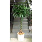 観葉植物大型パキラ10号2L鉢カバ...