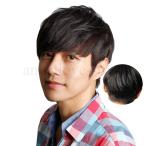 新作 100%人毛ウィッグ 男性用かつら かつら 日常用かつら 人毛かつら メンズヘア ショートフルウイッグ メンズウィッグ 専用ネット付き おしゃれ