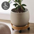 【Lサイズ】ユティル キャスター付き プランターベース 観葉植物 スタンド おしゃれ 鉢置き台 キャスター