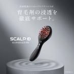  scalp D электро Schott Pro Anne мех angfa scalp уход кожа головы уход восстановление волос уход для бытового использования устройство восстанавливающий тоник для волос 