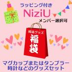 ラッピング付 NiziU ニジュー メンバー選べる 福袋 韓流 グッズセット クリスマス 母の日 こどもの日 バースデー プレゼント ak041-4