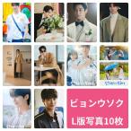 ショッピング韓流 ビョンウソク L版 写真 10枚セット 韓流 グッズ av071-5