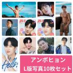 アンボヒョン L版 写真 10枚セット 韓流 グッズ av072-1