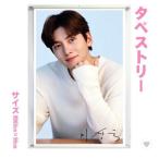 ショッピング韓流 チチャンウク 大型 タペストリー 60×90 韓流 グッズ bb048-23