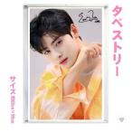 チャウヌ ASTRO アストロ 大型 タペストリー 60×90 韓流 グッズ bb167-7