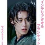 イジェウク 大判 インテリアタオル 110×70 韓流 グッズ be093-4