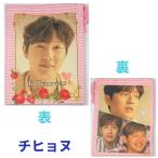 チヒョヌ 布製 巾着 ミニ ポーチ 小物入れ 韓流 グッズ eu087-1