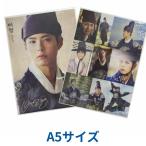 パクボゴム A5 クリアファイル  韓流 グッズ fb004-9