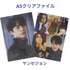 ショッピング韓流 ヤンセジョン A5 クリアファイル 韓流 アイドル グッズ 韓国 雑貨 fb081-1