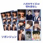 ショッピング韓流 4枚セット ソガンジュン シール ステッカー ハガキサイズ 韓流 グッズ fv067-1