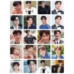 4枚セット ナイヌ ハガキサイズ シール ステッカー 韓流 グッズ fv079-3