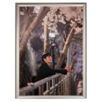 ショッピング韓流 チョンヘイン フォトプレート 額入り 写真 A4サイズ 韓流 グッズ hp025-65