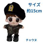 キャラクタードール ASTRO アストロ チャウヌ似  着せ替え ぬいぐるみ 15cmドール 人形  韓流 グッズ naw039-12