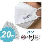 ハン ストレイキッズ STRAYKIDS スキズ 不織布 マスク 20枚セット 個包装 韓流 グッズ ne004-5b