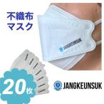 チャングンソク 不織布 マスク 20枚セット 個包装 韓流 グッズ ne006-1b