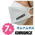 キムナムギル 不織布 マスク 7枚セット 個包装 韓流 グッズ ne036-1
