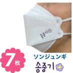 ソンジュンギ 不織布 マスク 7枚セット 個包装 韓流 グッズ ne044-2
