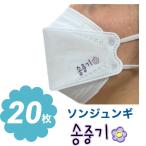 ソンジュンギ 不織布 マスク 20枚セット 個包装 韓流 グッズ ne044-2b