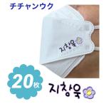 チチャンウク 不織布 マスク 20枚セット 個包装 韓流 グッズ ne068-2b
