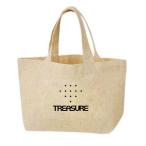 TREASURE トレジャー キャンバス ミニ バッグ ミニトート お弁当バッグ 韓流 グッズ nv058-1