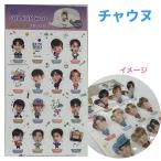 チャウヌ ASTRO アストロ スタンディング ステッカー 韓流 グッズ rj003-1