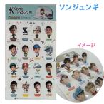 ソンジュンギ スタンディング ステッカー 韓流 グッズ rj009-1