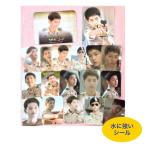 ソンジュンギ SONGJOONKI 太陽の末裔 ミニ 写真 シール セット 耐水 韓流 グッズ ugk049-2