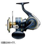 【送料無料4】ダイワ リール '20 ソルティガ 20000-H