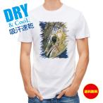  рыбалка футболка уличный таблица слой. . предмет siila tops рыба искусственная приманка бесплатная доставка мужской Logo знак весна лето осень дешевый большой размер стирка 