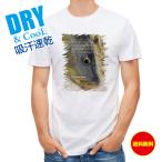  рыбалка футболка короткий рукав koi( carp ) рыба искусственная приманка мужской женский симпатичный dry скорость .. пот полиэстер футболка одежда 