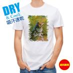  рыбалка футболка короткий рукав автобус . резец сделал момент. завершение . рыба искусственная приманка мужской женский симпатичный dry скорость .. пот полиэстер футболка одежда 
