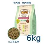 ニュートロ　ナチュラルチョイス　ラム＆玄米　子犬用　妊娠中・授乳中の母犬にも　全犬種用　6kg(ND365)