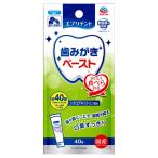 アース・ペット エブリデント 歯みがきペースト ミルクミント風味 ４０ｇ