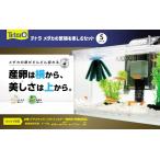 プラスチック水槽