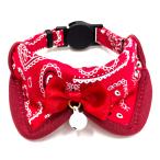 * холм . завод peiz Lee eli есть кошка красный 