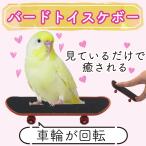 ミニスケボー 小鳥 小型 インコ バ