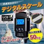  fishing Major fishing scale digital scale fishing hanging measuring scales Major sticker 1m 50kg portable 