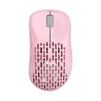 Pulsar Gaming Gears беспроводной ge-ming мышь Xlite V2 Mini Wireless супер-легкий 55 грамм L gono Miku s2.4Ghz 1ms 20000 DPI Optical Sensor P