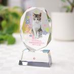  домашнее животное мемориальная табличка crystal стеклянный KP-2U большой размер 