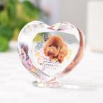  домашнее животное мемориальная табличка crystal стеклянный KP-6U большой размер . покупка 