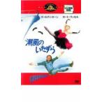 潮風のいたずら レンタル落ち 中古 DVD