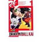 ドラゴンボール改 全53枚 改 全33巻 + 魔人ブウ編 全20巻 全巻セット