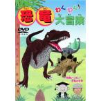わくわく!恐竜大冒険 ※センターホール割れ 中古 DVD ケース無
