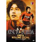  внутри рисовое поле . человек ATSUTO UCHIDA LIKE A ROLLING STONE олень остров Anne тигр -z официальный DVD б/у DVD кейс нет 
