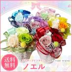 ショッピングプリザーブドフラワー プリザーブドフラワー ギフト 選べる色 ノエル ケース入り 誕生日 女性 花 お祝い ブリザードフラワー お花 お誕生日 贈り物 クリスマス プレゼント お歳暮