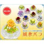  консервированный цветок купол фэн-шуй роза Valentine 